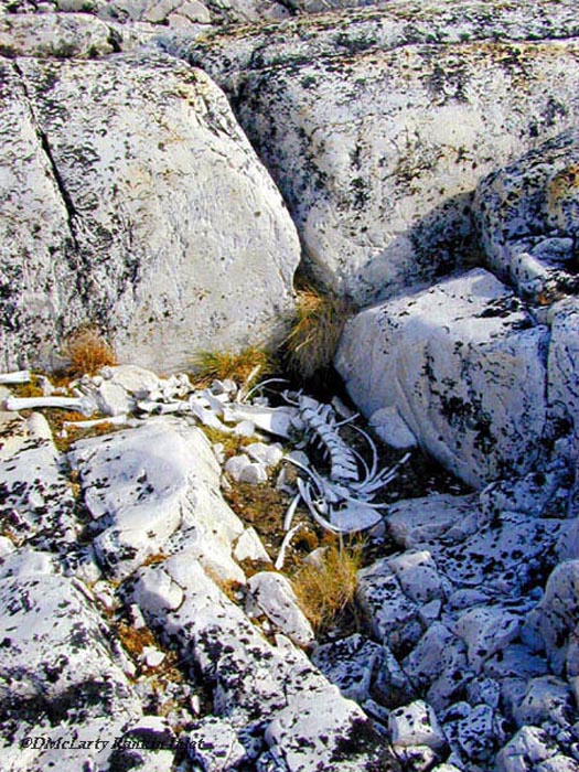 Marble Island 007