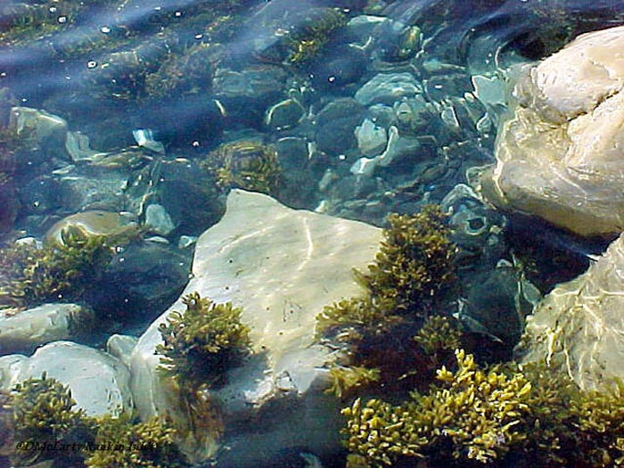 Marble Island 029