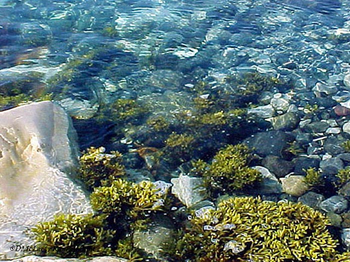 Marble Island 030
