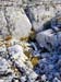 Marble Island 007