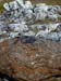 Marble Island 009