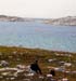 Marble Island 012
