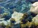 Marble Island 029