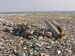 Marble Island 033