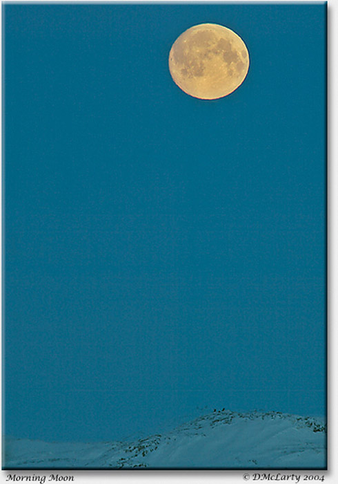 SKY20