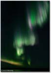 SKY25